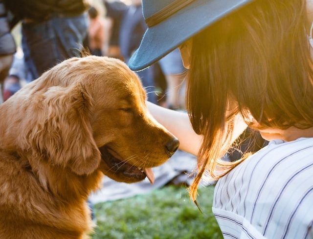 dog-friendly