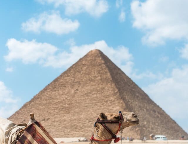 egypt-232